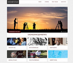 Momentum Online